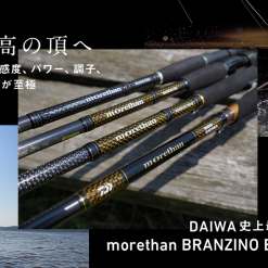 Daiwa 21 MORETHAN BRANZINO EX AGS 9 Daiwa 21 MORETHAN BRANZINO EX AGS -Spinning Reels Sales Daiwa21MORETHANBRANZINOEXAGS1