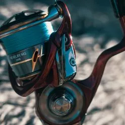 Daiwa 21 REVELRY FC MQ -Spinning Reels Sales Daiwa21ReverelyFCMQ5