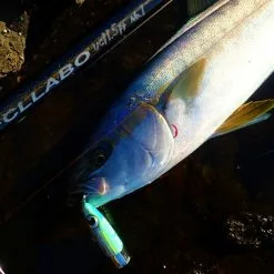 FCL LABO UC11.5ft 2S (Double S) (Spinning) -Spinning Reels Sales FCLLaboUC11.5ft2S4