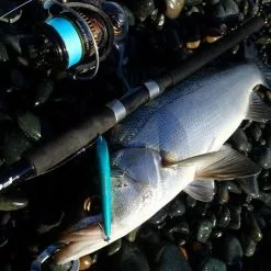 FCL LABO UC11.5ft 2S (Double S) (Spinning) -Spinning Reels Sales FCLLaboUC11.5ft2S5