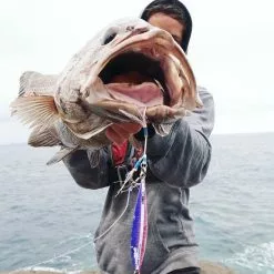 Ocean's Legacy Oceans Legacy Hybrid Contact Jig Rigged -Spinning Reels Sales IMG 9479 5b257b8a f5d7 4c9d 8eed ba3036ffae2a