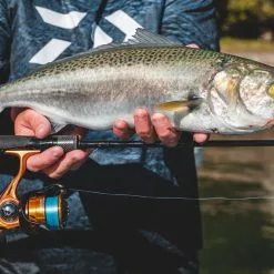 (Pre-order) Daiwa 23 Aird LT -Spinning Reels Sales Pre order Daiwa23AirdLT5