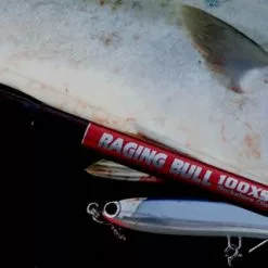 MC Works 2022 Raging Bull 100XS-Trident SP -Spinning Reels Sales RB100XS T e798725c 1d42 48f8 b940 8564479175e8