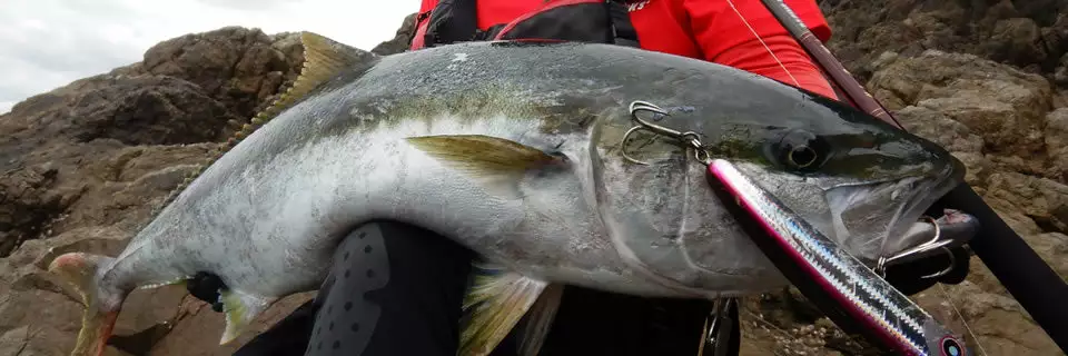 MC Works 2021 Raging Bull RB95XZ-TRIDENT 8 MC Works 2021 Raging Bull RB95XZ-TRIDENT - Image 6