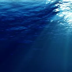 Ripple Fisher Runner Exceed 103H 25th Anniversary Christmas Limited Edition 11 Ripple Fisher Runner Exceed 103H 25th Anniversary Christmas Limited Edition -Spinning Reels Sales RippleFisherRunnerExceed103H25thAnniversaryChristmasLimitedEdition