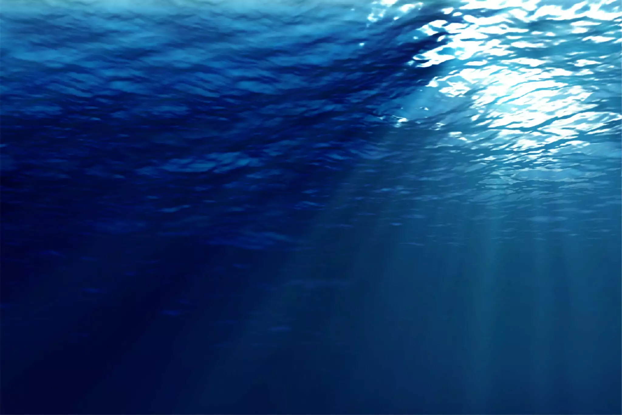 Ripple Fisher Runner Exceed 103H 25th Anniversary Christmas Limited Edition 5 Ripple Fisher Runner Exceed 103H 25th Anniversary Christmas Limited Edition - Image 3