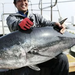 MC Works 2022 Slow Hand 817TSZ STD (ALL THAT TUNA) -Spinning Reels Sales SM816cr 5461d3b7 9872 43c2 b1e9 af096ba20b57