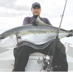 CB One Enfinity EN80/16 - Ultimate Dreamer -Spinning Reels Sales Screen Shot 2019 08 28 at 2.37.46 pm