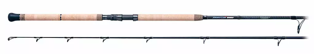 2021 Palms Shore Gun Evolv - Blue Runner 17 2021 Palms Shore Gun Evolv - Blue Runner - Image 15