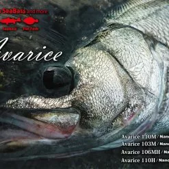 Ripple Fisher Avarice 110H Nano