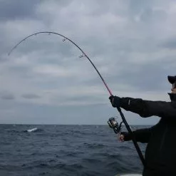 MC Works Slow Hand SH875PD