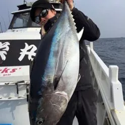 MC Works Slow Hand SH884PD