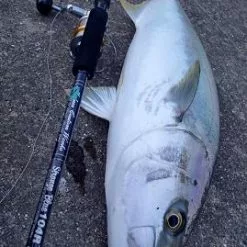 MC Works 2022 Strange Blue SB104R SP -Spinning Reels Sales strange blue 103r SP thumbnail 6499b28d cf4a 4314 93e2 ba8e29f39682