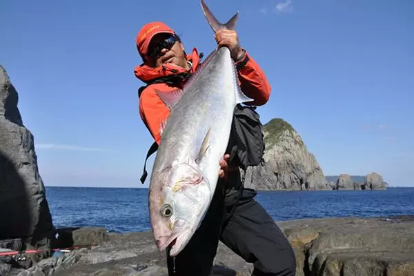 MC Works Wilde Breaker WB113 R/S STD 3 MC Works Wilde Breaker WB113 R/S STD